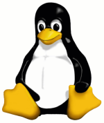 Linux Hosting